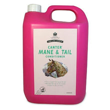 Load image into Gallery viewer, Carr Day & Martin Canter Demelante