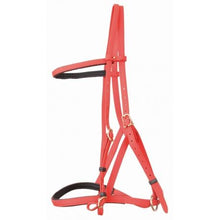 Load image into Gallery viewer, Biotack Bridon Licol - SHOP HORSE