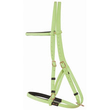 Load image into Gallery viewer, Biotack Bridon Licol - SHOP HORSE