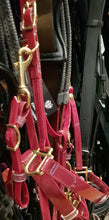 Load image into Gallery viewer, Biothane Bridon Licol Bordeaux - SHOP HORSE