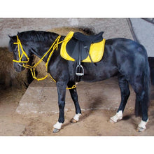 Load image into Gallery viewer, Biotack Bridon Licol - SHOP HORSE