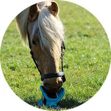 Load image into Gallery viewer, Bizzy Bites Jouet pour Cheval