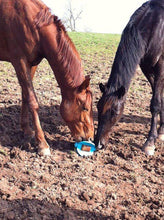 Load image into Gallery viewer, Bizzy Bites Jouet pour Cheval