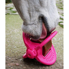 Load image into Gallery viewer, Bizzy Bites Jouet pour Cheval