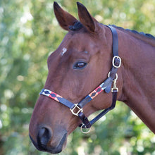 Load image into Gallery viewer, Bleinham Licol Polo en cuir