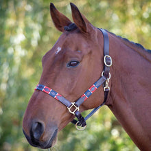 Load image into Gallery viewer, Bleinham Licol Polo en cuir