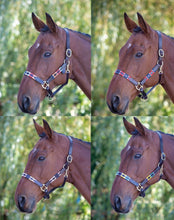 Load image into Gallery viewer, Bleinham Licol Polo en cuir