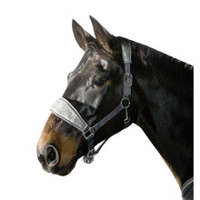 Load image into Gallery viewer, Cavallino Marino Licol Piemont - SHOP HORSE