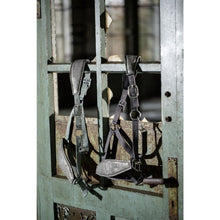 Load image into Gallery viewer, Cavallino Marino Licol Piemont - SHOP HORSE