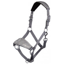 Load image into Gallery viewer, Cavallino Marino Licol Piemont - SHOP HORSE