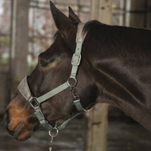 Load image into Gallery viewer, Cavallino Marino Licol Piemont - SHOP HORSE