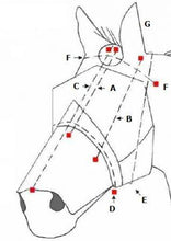 Load image into Gallery viewer, Cashel Masque Anti mouches Quiet Ride - SHOP HORSE