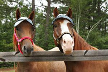 Load image into Gallery viewer, Casquette Protege UV 90% sans Oreilles avec mouton