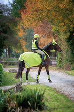 Load image into Gallery viewer, Equi-Flector Bonnet Anti Mouches Reflechissant - SHOP HORSE
