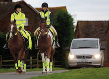 Load image into Gallery viewer, Equi-Flector Bandes Reflechissantes - SHOP HORSE
