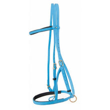Load image into Gallery viewer, Biotack Bridon Licol - SHOP HORSE
