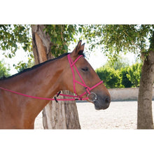 Load image into Gallery viewer, Biotack Bridon Licol - SHOP HORSE
