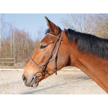 Load image into Gallery viewer, Biotack Bridon Licol - SHOP HORSE
