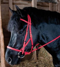 Load image into Gallery viewer, Biotack Bridon Licol - SHOP HORSE
