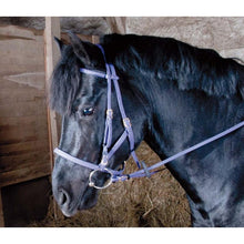 Load image into Gallery viewer, Biotack Bridon Licol - SHOP HORSE

