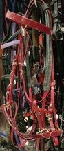 Load image into Gallery viewer, Biothane Bridon Licol Bordeaux - SHOP HORSE
