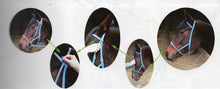 Load image into Gallery viewer, Biotack Bridon Licol - SHOP HORSE
