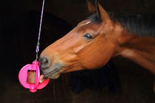 Load image into Gallery viewer, Bizzy Bites Jouet pour Cheval
