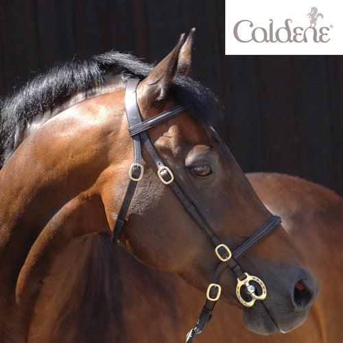 Caldene Bridon de Presentation - SHOP HORSE