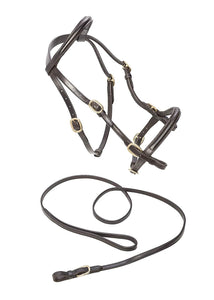 Caldene Bridon de Presentation - SHOP HORSE