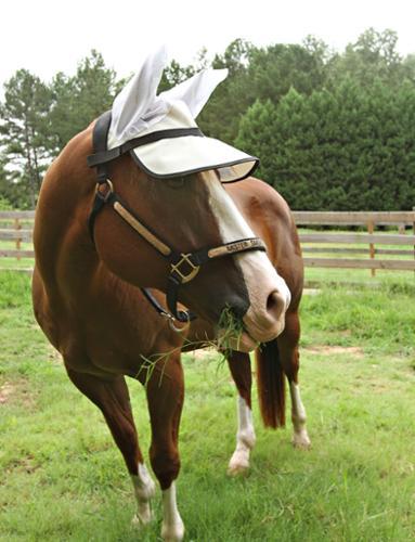 Casquette Protege Yeux Anti UV 90% - SHOP HORSE