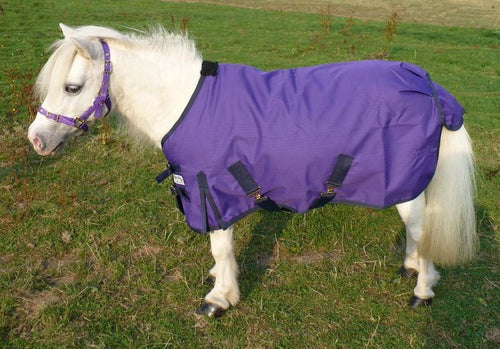 Dinky Impermeable Violet - SHOP HORSE