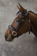 Load image into Gallery viewer, Ecolux Bridon Confort - SHOP HORSE
