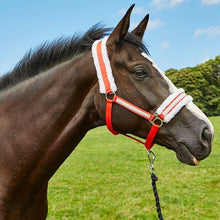 Load image into Gallery viewer, Elico Licol Noel - SHOP HORSE
