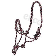 Elico Licol Ethologique - SHOP HORSE