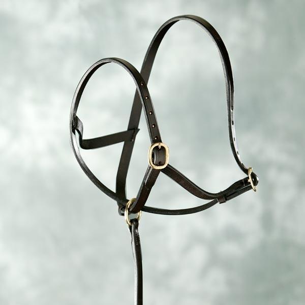 Elico  Licol Slip Poulain en cuir - SHOP HORSE