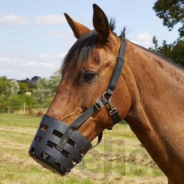 Elico Museliere en Caoutchouc