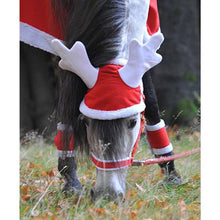 Load image into Gallery viewer, Bonnet Ramure de Renne Noel - SHOP HORSE
