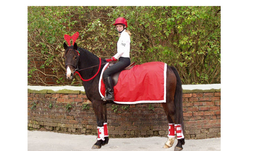 Couvre Reins de Noel Showquest - SHOP HORSE